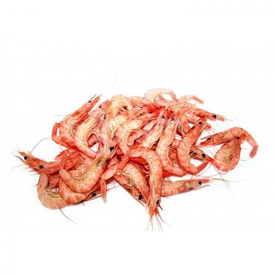 GAMBA ARROCERA 190/200 PZ FISHERMAR 1X12KG AP.