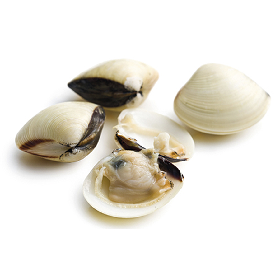 ALMEJA BLANCA 60/80 6X1KG MARKET