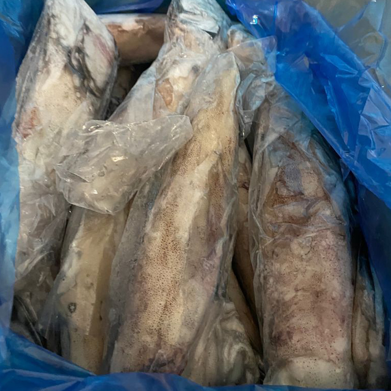 CALAMAR MARRUECOS M ATLANTIC FISH C/24KG AP.