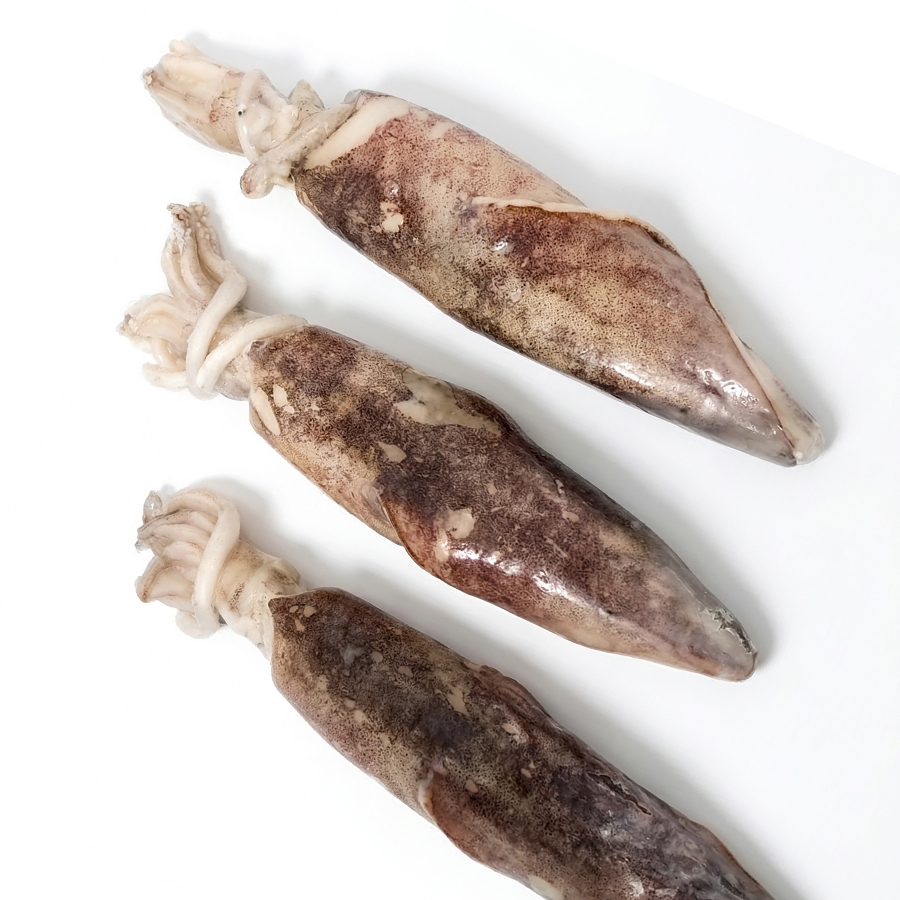 CALAMAR MAURITANIA 3P IQF 1X5KG